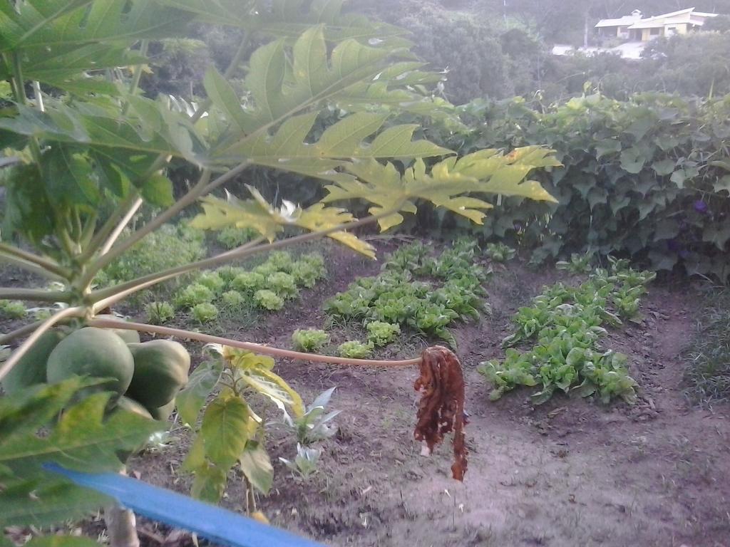Pousada Complexo Cantagalo São Tomé das Letras Exterior foto